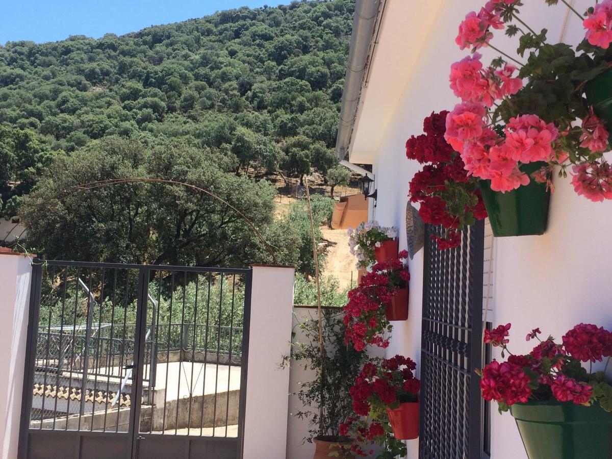 Villa La Quinta Приего-де-Кордова Экстерьер фото