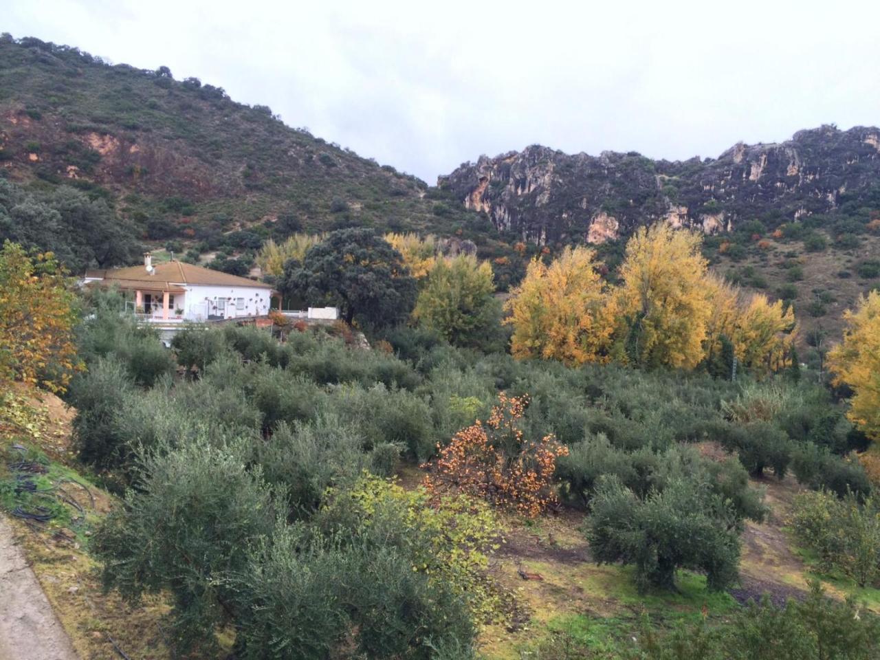 Villa La Quinta Приего-де-Кордова Экстерьер фото
